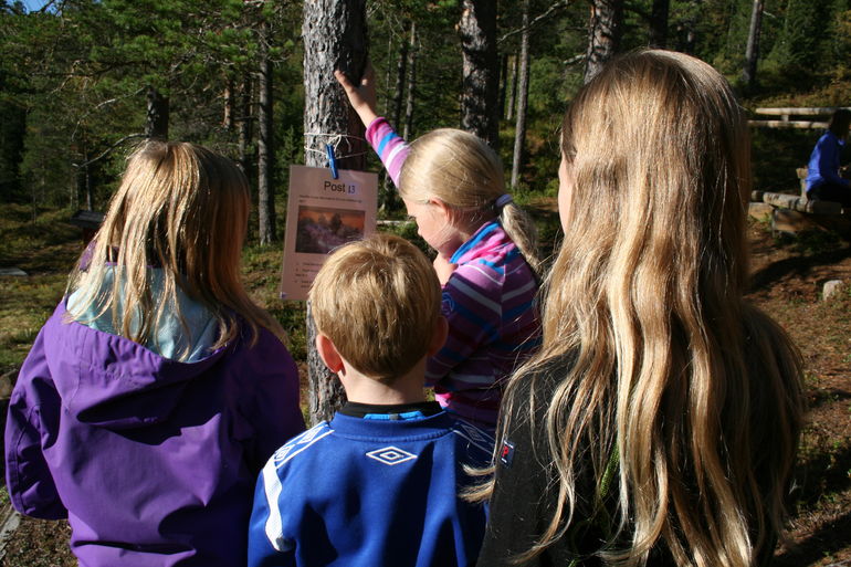 Uteskole om naturens kretsløp ved Kattjønna 29. september 2015