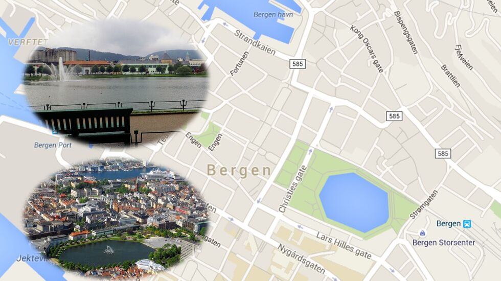 Lille_Lungegårdsvann_montasje
