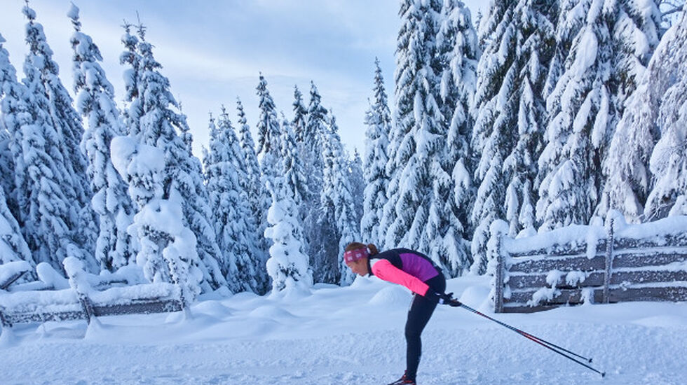 Vestergyllen et av få renn som har hatt økning i deltakelsen i år. Rennet hadde også en fantastisk eventyrramme rundt årets arrangement. Foto: Stian S. Møller
