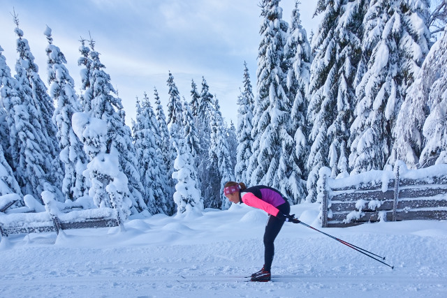 Vestergyllen et av få renn som har hatt økning i deltakelsen i år. Rennet hadde også en fantastisk eventyrramme rundt årets arrangement. Foto: Stian S. Møller