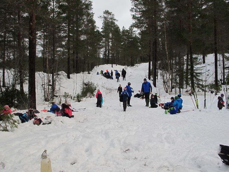 Skidag