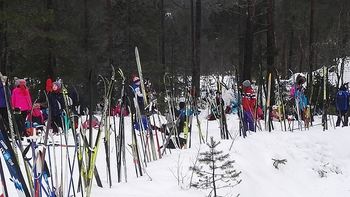 Bilde av alle skiene til elevene som står i snøen.