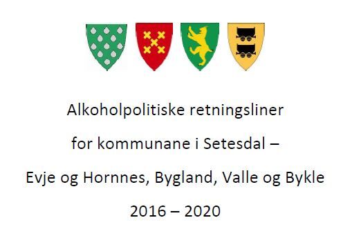 Alkoholpolitiske retningsliner 2016 - 2020 Alkoholpolitiske retningsliner 2016 - 2020