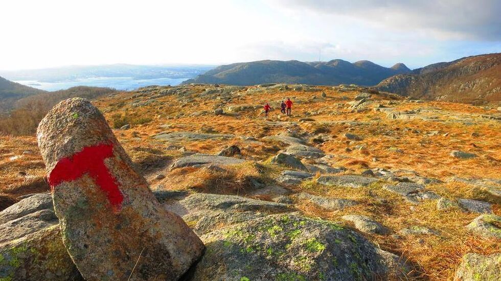 På t-merket sti... (arrangørfoto).