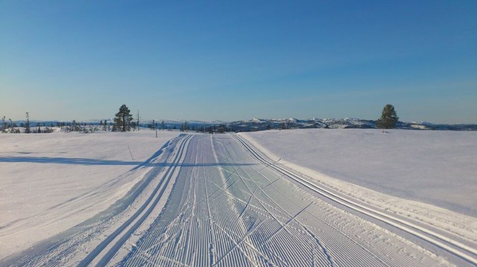 Langlisberget mot vest. Foto: Arrangør