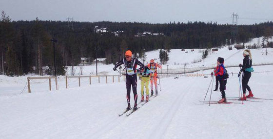 halvbirkenvinjar