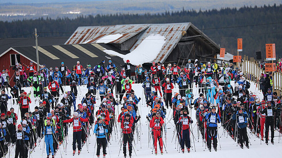 Klar for start: Deltakerne i FredagsBirken stiller opp på Tingstadjordet noen km fra Rena sentrum. (Foto: Geir Olsen/Birken) 