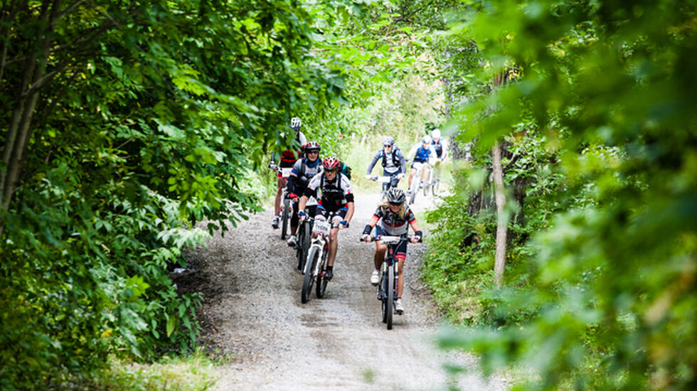 Foto: Birken/Lars Krogsveen 2015