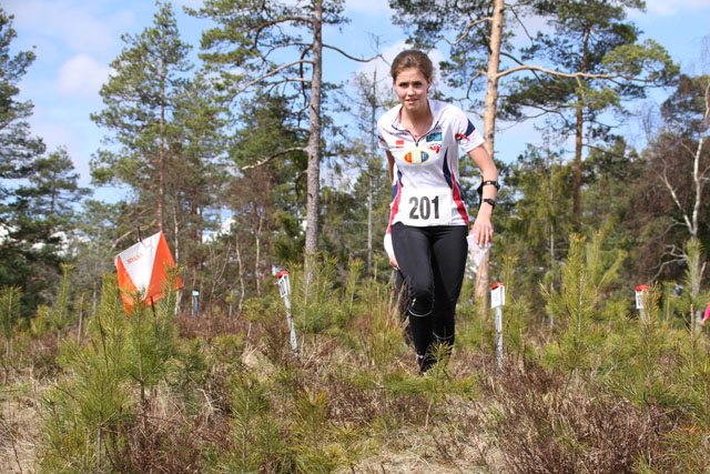 kjapp06_vassend.jpg