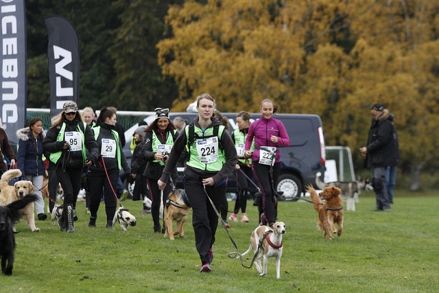 Fra fjorårets Dog Run (arrangørfoto).
