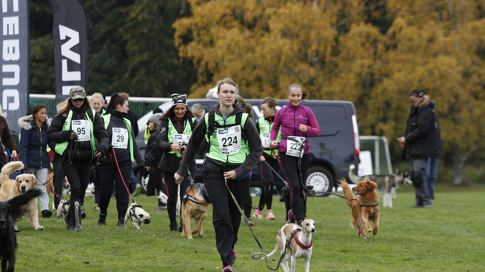Fra starten på fjorårets Dog Run på Ekebergsletta (arrangørfoto).