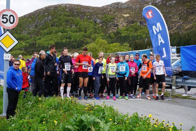 Molt-mila 2015. Foto: Ida Moltu
