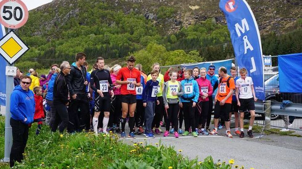 Molt-mila 2015. Foto: Ida Moltu