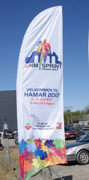 NM_sprint_Pinselopene_2017.jpg