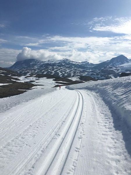 Flotte forhold