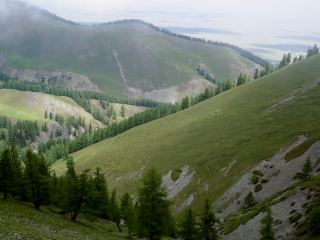 dag 2e opp mot 3000 m (640x480).jpg