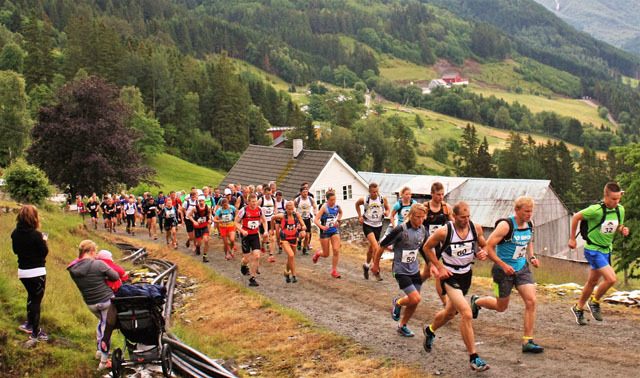 Startfeltet i konkurranseklassane med 71 deltakar like etter starten på garden Lunde i Feios i det 4.0 km lange motbakkeløpet med stigning på 827 høgdemeter frå 400- 1227 moh. (Foto arrangør)