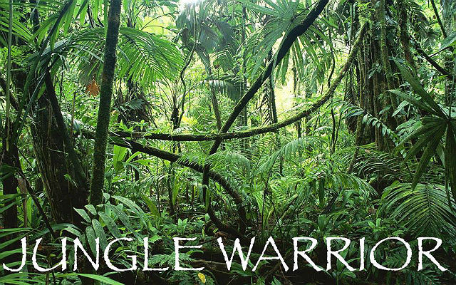 JungleWarrior_forside.jpg