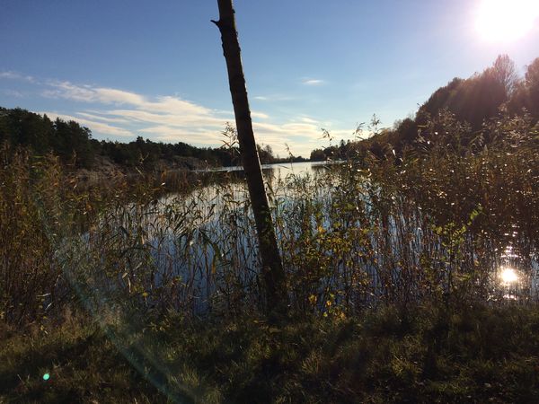 Natur vann og sol Natur vann og sol