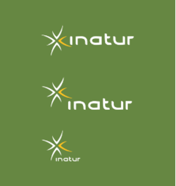 Logo inatur grønn symbol