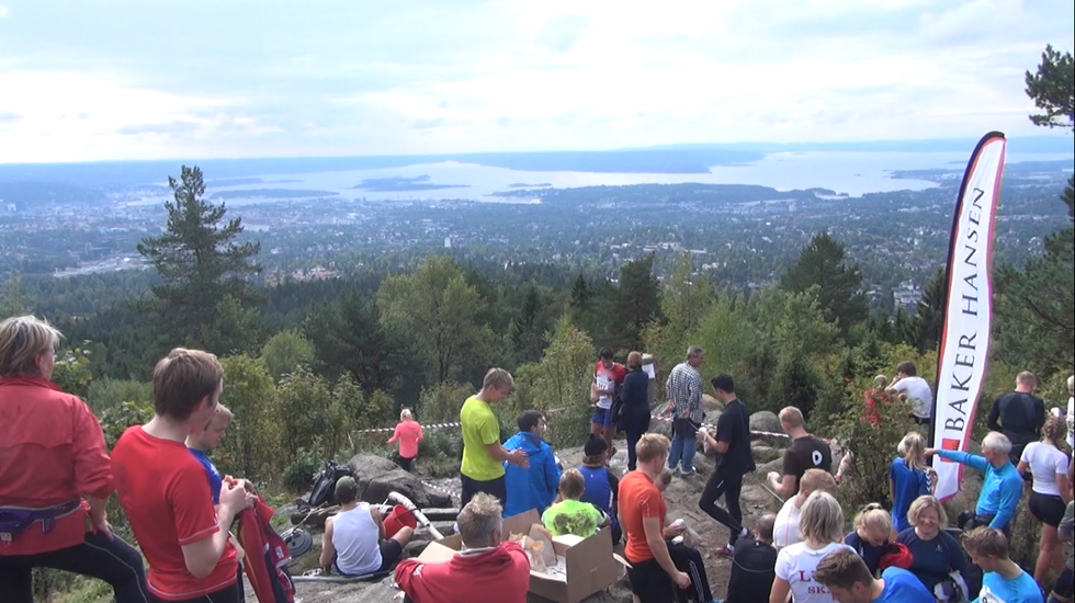 Strålende utsikt fra Vettakollen i 2014