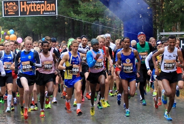 Hytteplanmila samler et knallsterkt felt hvert år... her fra starten 2014 (foto: Olav Engen)