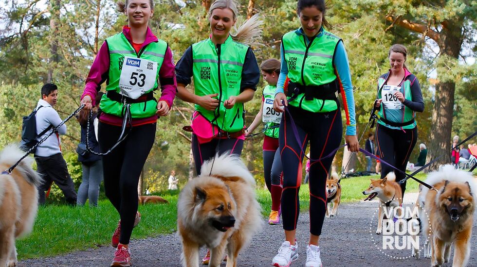 Det var flere firbente enn tobente på Ekebergsletta, selv om det her er lik fordeling (foto: Vom Dog Run).