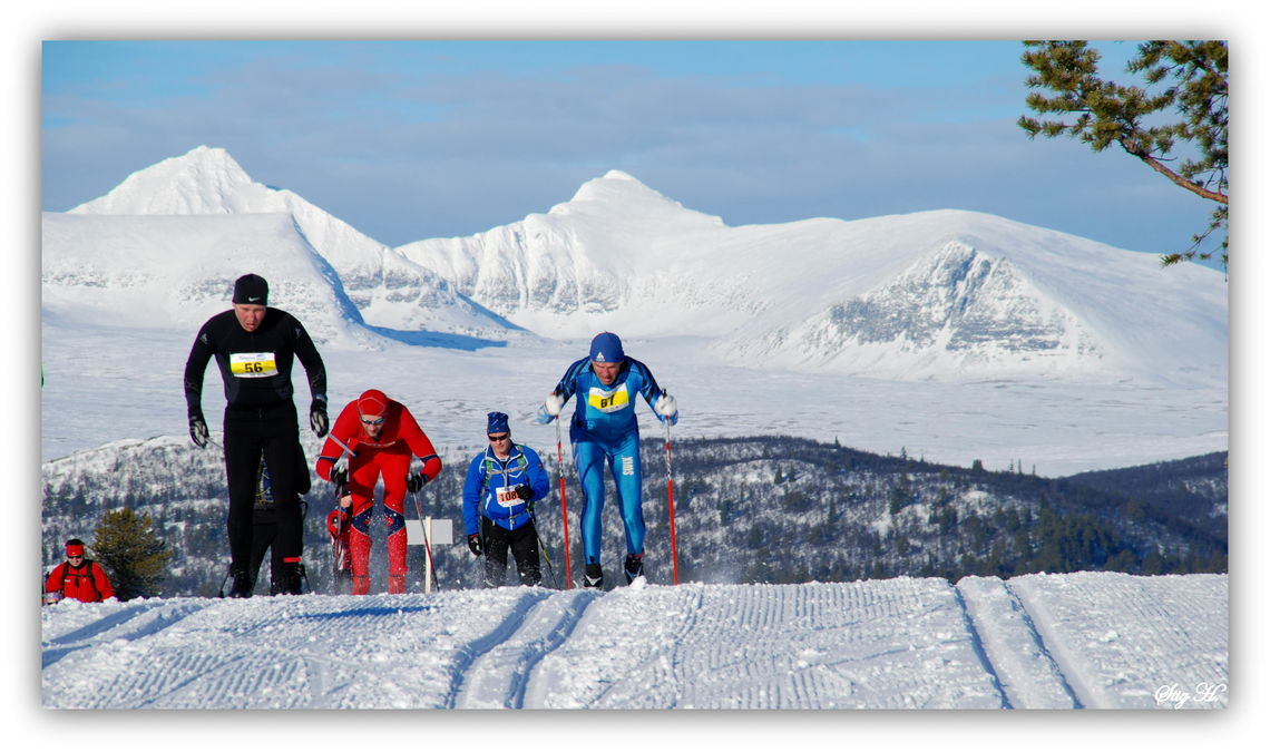 Fra 2015-rennet som gikk i fantastisk vær på Kvamsfjellet (arrangørfoto).