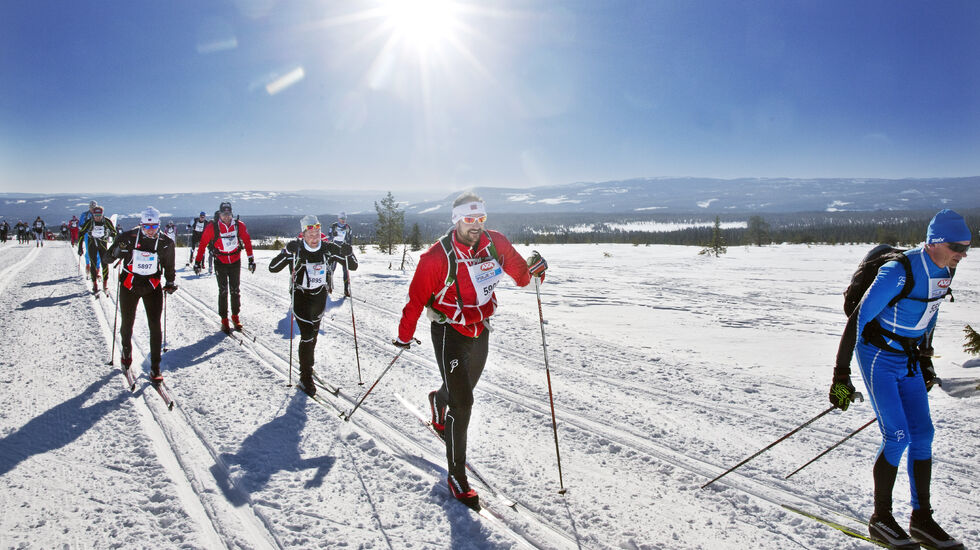 Kronprins Håkon Magnus i Birkebeinerrennet (foto: Geir Olsen, Birken)