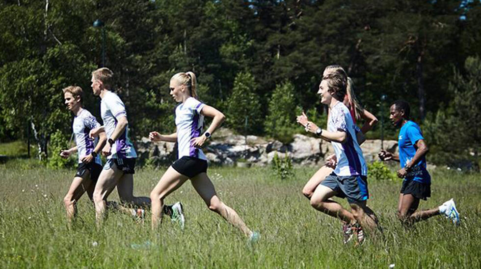 Kristiansand Løpeklubb tester løypa til Nordisk Mesterskap i sommer. Nå er det ikke like grønt og de fleste deltakerne velger å løpe med piggsko. (Foto: arrangøren)
