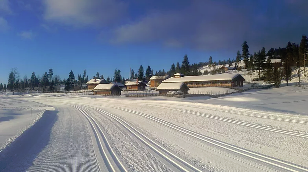 Furutangen i Osen i Åmot kommune. (Arrangørfoto)