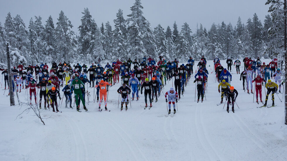 Fra starten på fjorårets Trysil-Knut-renn som pga. snømangel måtte flyttes til Flishøgda. (Foto: Jens Petter Larsen)