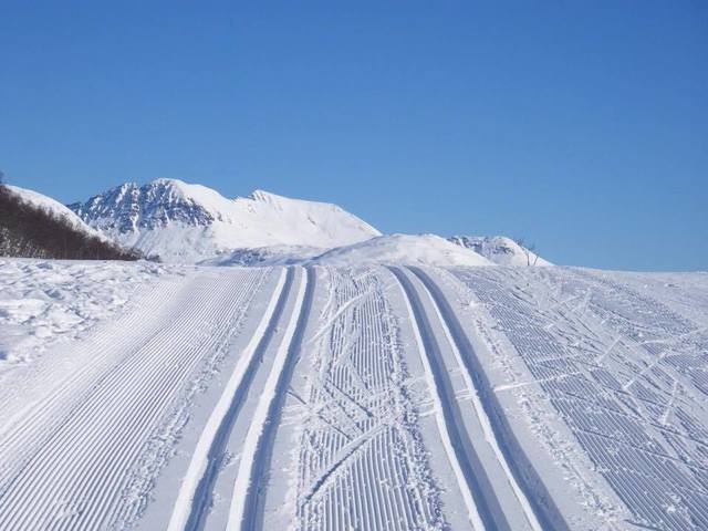 Skaret_skiløyper