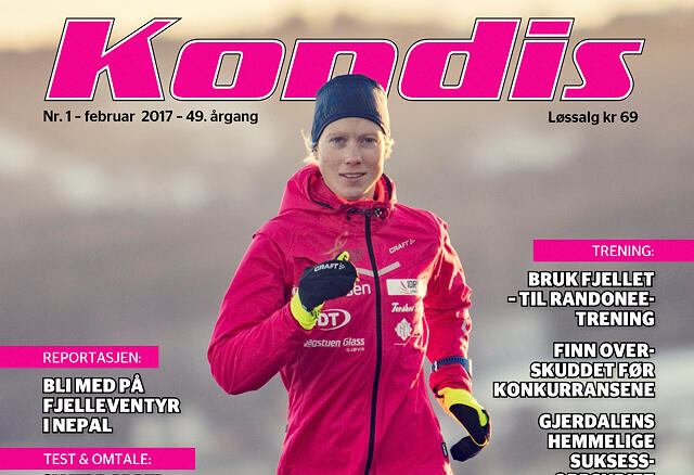 Kondis1701_ingress