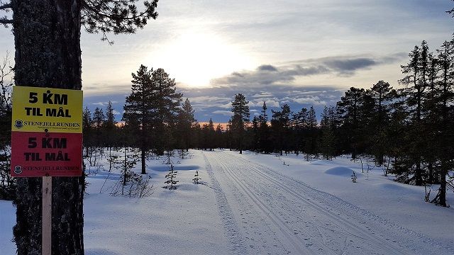 Glimt fra løypa tatt før det kom ytterligere påfyll av snø søndag 29. januar. (Foto: Stein Arne Negård)