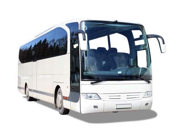 BIRKENBUSS_shutterstock_art