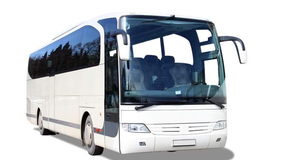 BIRKENBUSS_shutterstock_art