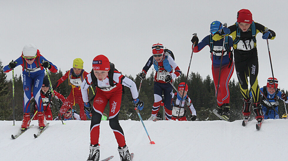 IMG_7061_BarneBirken