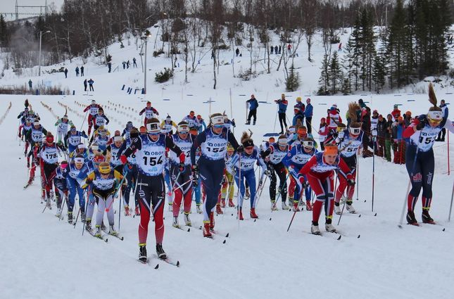Fra starten på jentenes stafett på NMs avsltningsdag. Opplands vinnerlag med nr 154 er helt fremme allerede fra start. (Foto: Trond Arne Liavik) Fra starten på jentenes stafett på NMs avsltningsdag. Opplands vinnerlag med nr 154 er helt fremme allerede fra start. (Foto: Trond Arne Liavik)