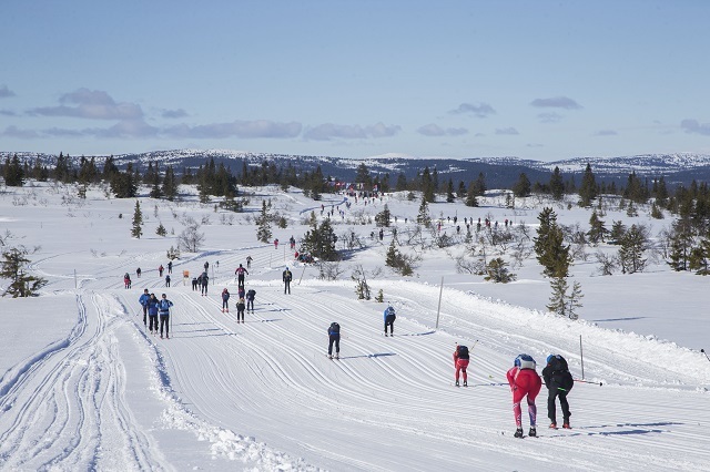 Fra Nyseteråsen 2017. (Foto: Birken/Geir Olsen)