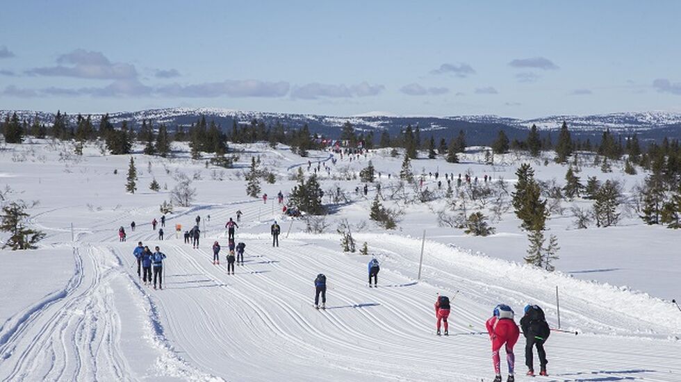 Fra Nyseteråsen 2017. (Foto: Birken/Geir Olsen)