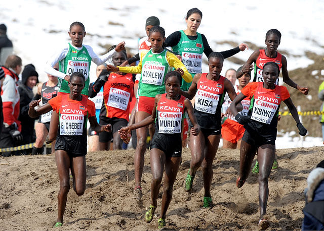 Vi vil nok se mye til de kenyanske og etiopiske draktene når mange av verdens beste løpere møtes til dyst i Ugandas hovedstad på søndag. (Foto: Mark Shearman) 