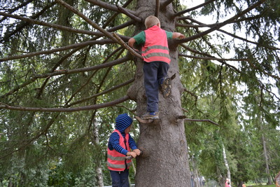 Ailo og Ludvik klatrer i et tre