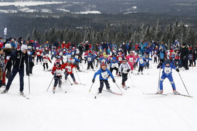 Simen Andreas Sveen heiet i gang 5-7-åringene opp Monsterbakken med Martin Johnsrud Sundby i bakgrunnen. Simen Andreas Sveen heiet i gang 5-7-åringene opp Monsterbakken med Martin Johnsrud Sundby i bakgrunnen.