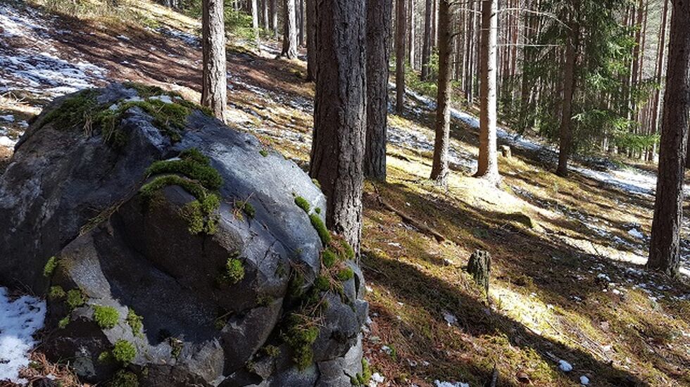 Litt snø i Furuberget en uke før sesongstart. (Foto: Stein Arne Negård)