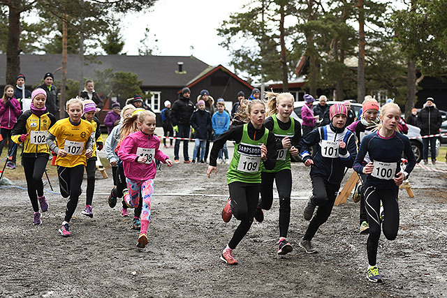 Starten for yngste jenteklasse, K11 og K12. (Alle foto: Bjørn Johannessen)