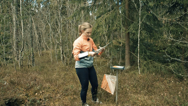 oglede01