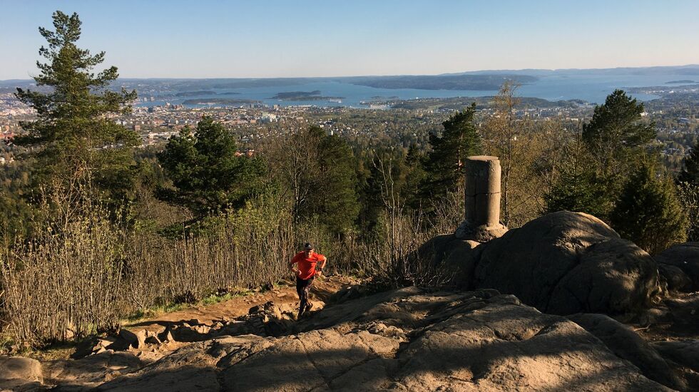 Etter to kilometer og 200 høydemeter kommer du til toppen av Vettakollen. (Foto: Erling Pande Braathen)