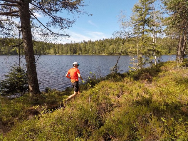 Blåsti_langs_Fagervann