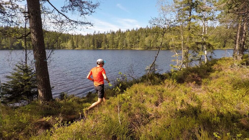 Blåsti_langs_Fagervann